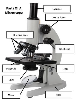 Parts of a Microscope by Miss Boss Science | TPT