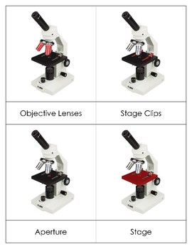 Preview of Parts of a Microscope