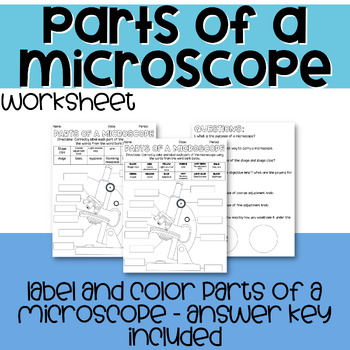 Parts of a Microscope by The Crafty Science Teacher | TPT