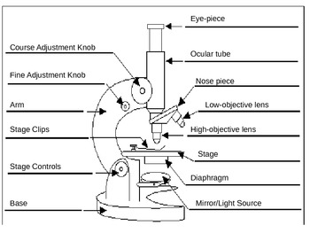 Parts of a Microscope Information Sheets with Formative Assessment
