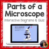 Parts of a Microscope Interactive Diagram