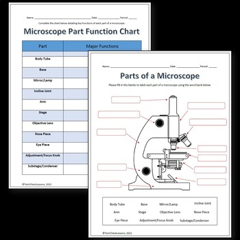 Preview of Parts of a Microscope Labeling & Functions Worksheet - Science + Word Search!