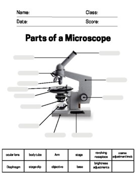 Parts of a Microscope Labeling , Functions and how to use Worksheet ...