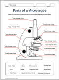 Microscope Worksheet | Teachers Pay Teachers