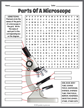 Microscope Mania Word Search Puzzle Answer Key - Micropedia