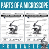 Parts of a Microscope Worksheet, with Answer Keys