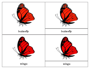 Preview of Parts of a Monarch Butterfly Three Part Cards