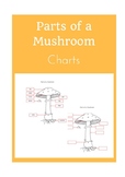 Parts of a Mushroom Charts