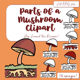 Parts of a Mushroom Clipart