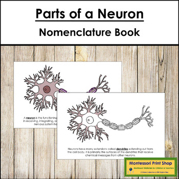 Preview of Parts of a Neuron Book - Montessori Nomenclature