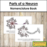 Parts of a Neuron Book - Montessori Nomenclature