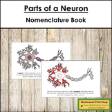 Parts of a Neuron Book (red highlights) - Montessori Nomenclature