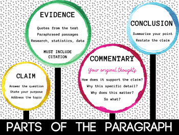 LAMINATED Parts of a Paragraph Anchor Chart 