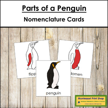 Preview of Parts of a Penguin 3-Part Cards (red highlights) - Montessori Nomenclature