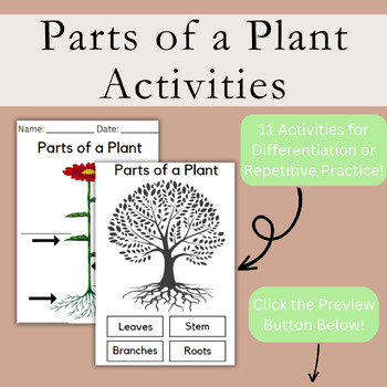 Preview of Parts of a Plant