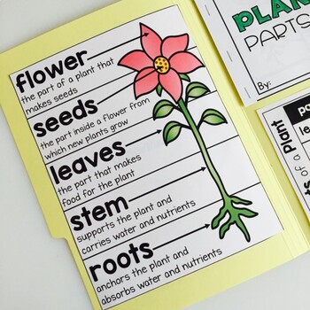 Parts of a Plant Science Activities Folder by Curriculum Castle | TPT