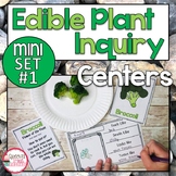 Parts of a Plant Activities | Parts of a Plant Science Lab