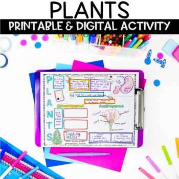 Preview of Parts of a Plant Activity