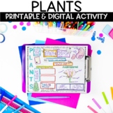 Parts of a Plant Activity