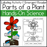 Labeling Parts of a Plant Anchor Chart and Interactive Sci