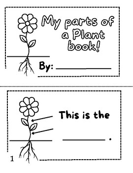 Parts of a Plant Booklet! by Joanna Nava | TPT