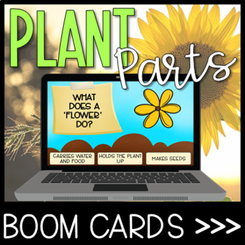 Preview of Parts of a Plant Boom Cards | Distance Learning | Digital Science Task Cards