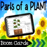 Parts of a Plant - Boom Cards/ Distance Learning/ Digital 