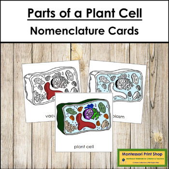 Preview of Parts of a Plant Cell 3-Part Cards - Montessori Nomenclature