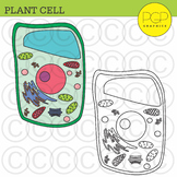 Parts of a Plant Cell Clip Art by PGP Graphics *b&w images