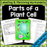 Parts of a Plant Cell - Labeling & Matching | Printable & Digital