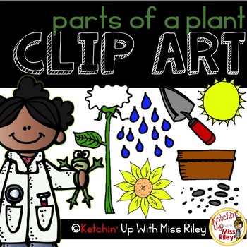 Preview of Parts of a Plant Clip Art