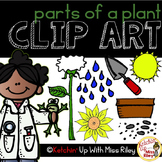 Parts of a Plant Clip Art