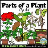 Parts of a Plant Clip Art for Personal and Commercial Use