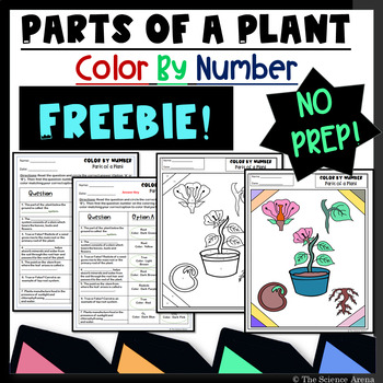 Preview of Parts of a Plant Color by Number FREE Activity | Science Coloring Worksheets