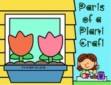 Parts of a Plant Craft