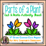 Parts Of A Plant Cut And Paste Teaching Resources | TpT