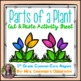 Parts of a Plant - Cut and Paste Activity Sheet by Mrs Cowmans Classroom