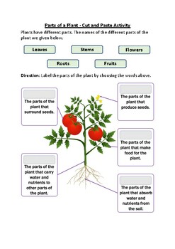 Preview of Parts of a Plant - Cut and Paste Worksheet Activity (Printable)