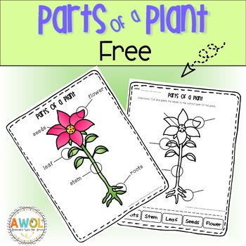 Parts of a Plant FREE by AWOL Adventures With Our Littles | TpT