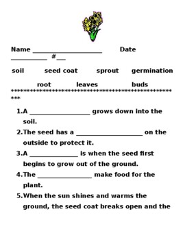 Parts Of A Plant Fill In The Blank Worksheet By Kristina Basil Tpt
