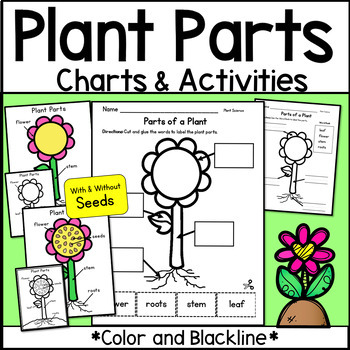 Parts of a Plant Flower Chart Diagram and Label Plant Parts Worksheets