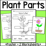 Parts of a Plant Flower Label Plant Parts Worksheets and D