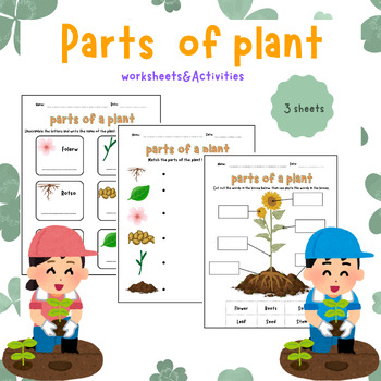 Preview of Parts of a Plant Flower Worksheets&Activities
