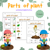 Parts of a Plant Flower Worksheets&Activities