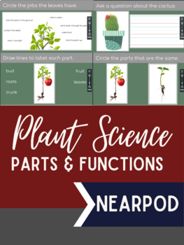Preview of Parts of a Plant & Functions: NEARPOD