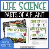 Parts of a Plant Google Slides - 2nd & 3rd Grade Digital S