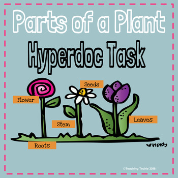 Preview of Parts of a Plant Hyperdoc