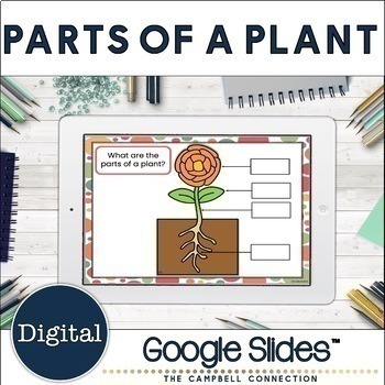 Preview of Parts of a Plant Label | Google Classroom