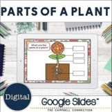 Parts of a Plant Label | Google Classroom