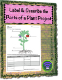 Parts of a Plant - Label and Describe Project